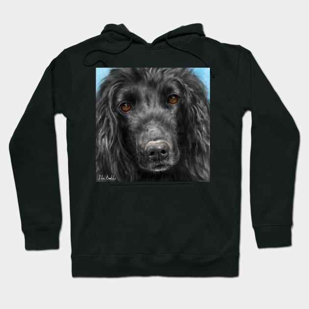 A Painting of a Black Cocker Spaniel with Honey Eyes Hoodie by ibadishi